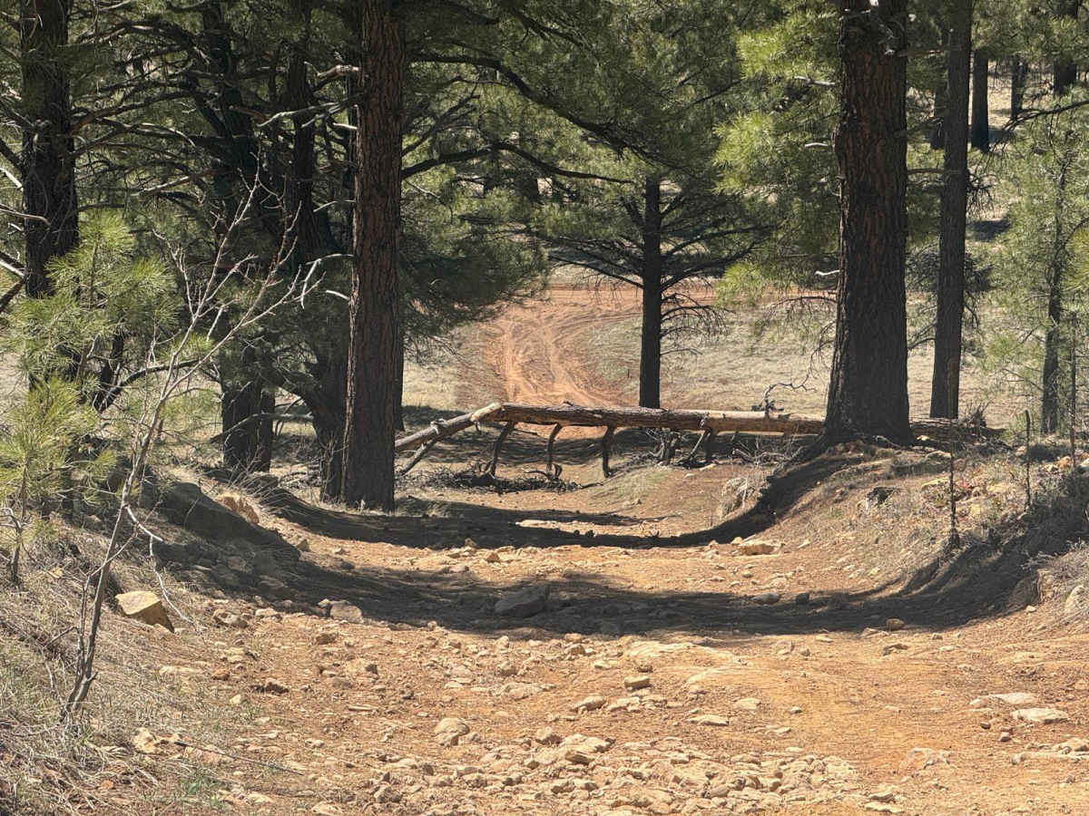 FR 9419U to Howard Trail trail photo