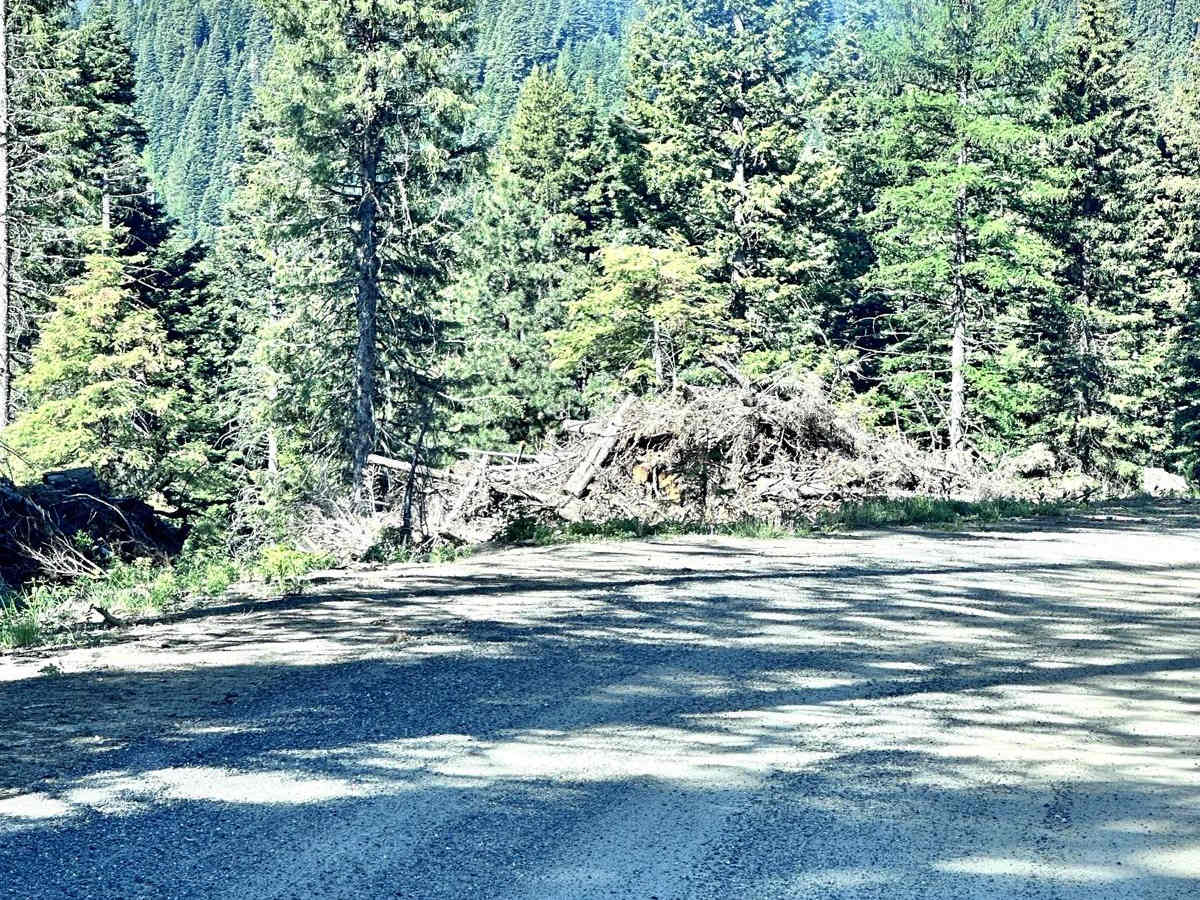 Middle Fork Weiser photo 5