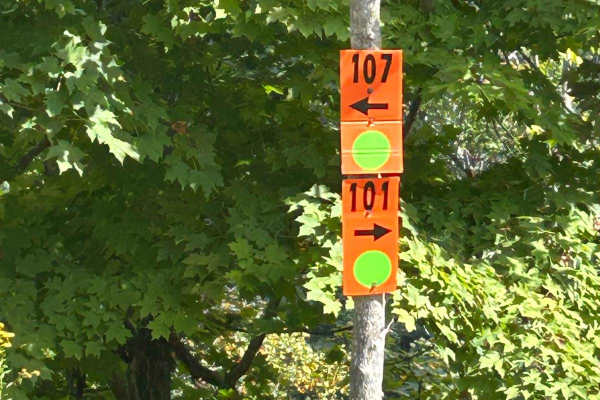 107