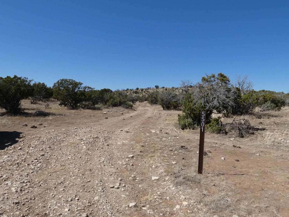 Segrest Draw trail photo