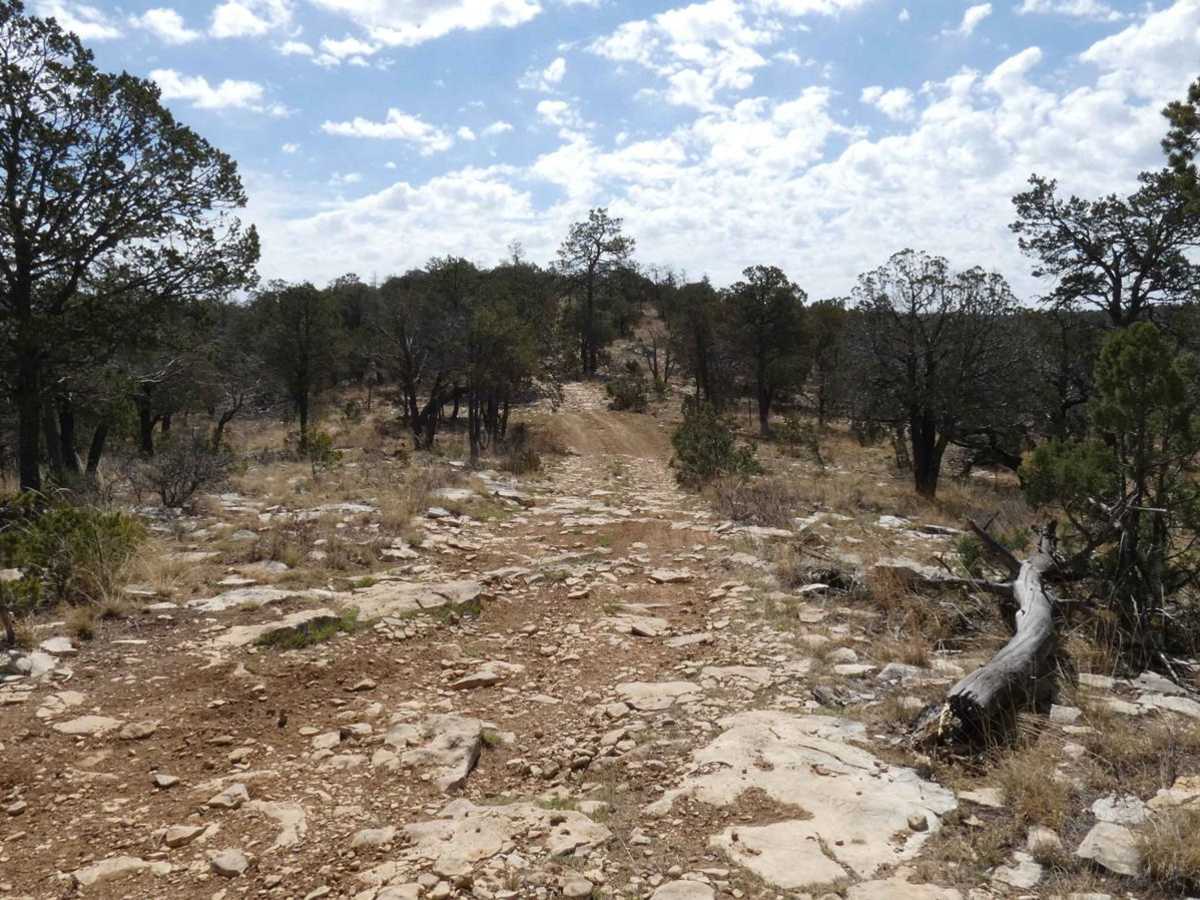 GRT/FS201: Guadalupe Rim Trail photo 6
