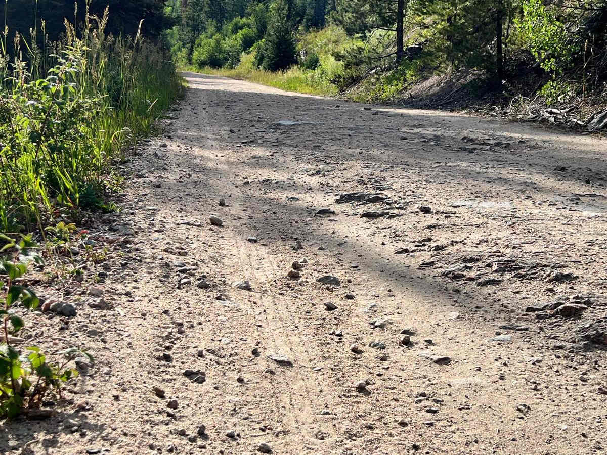 Keyser Creek Road - FS 139 photo 4