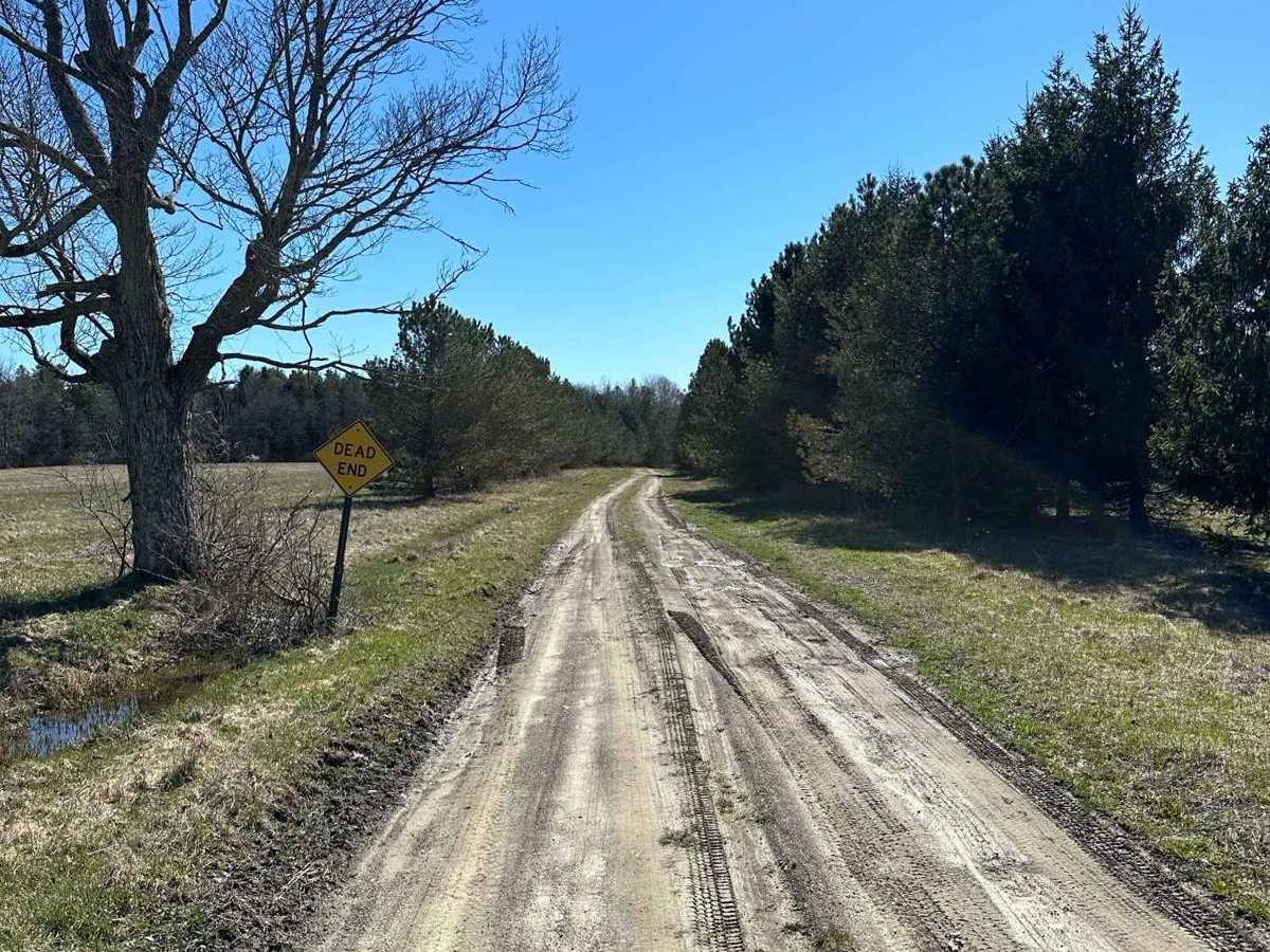 Sauerbier Road trail photo