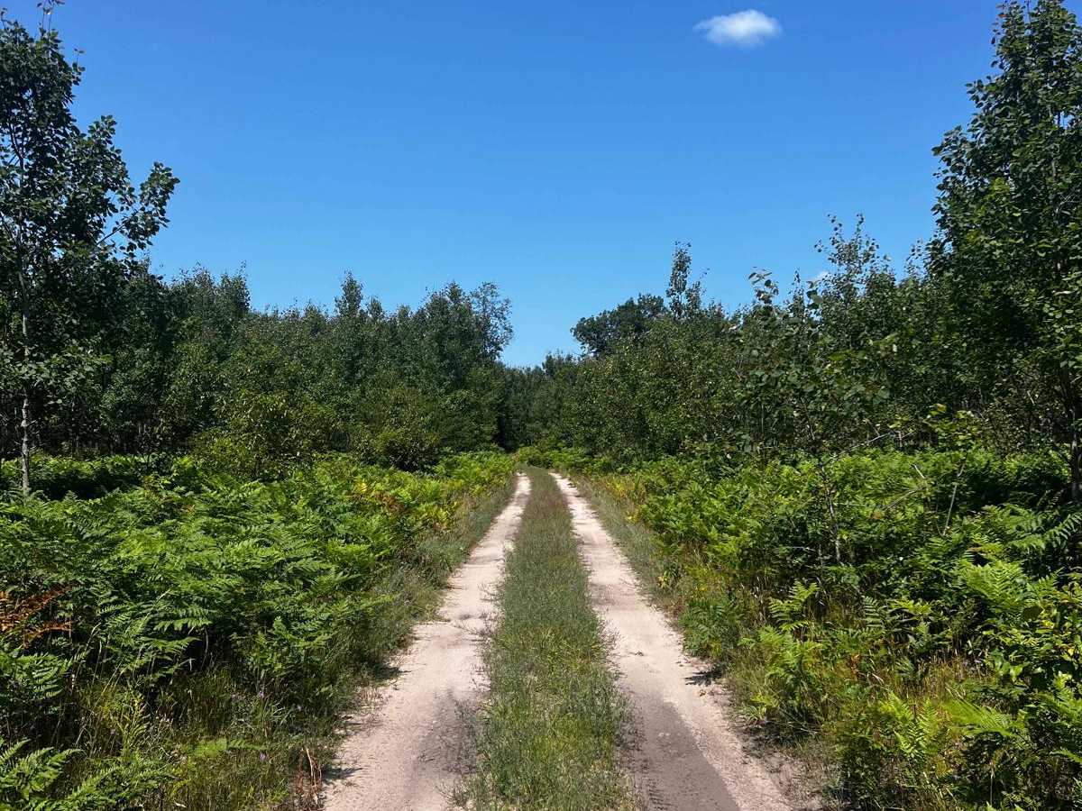 River Camp Trail photo 2