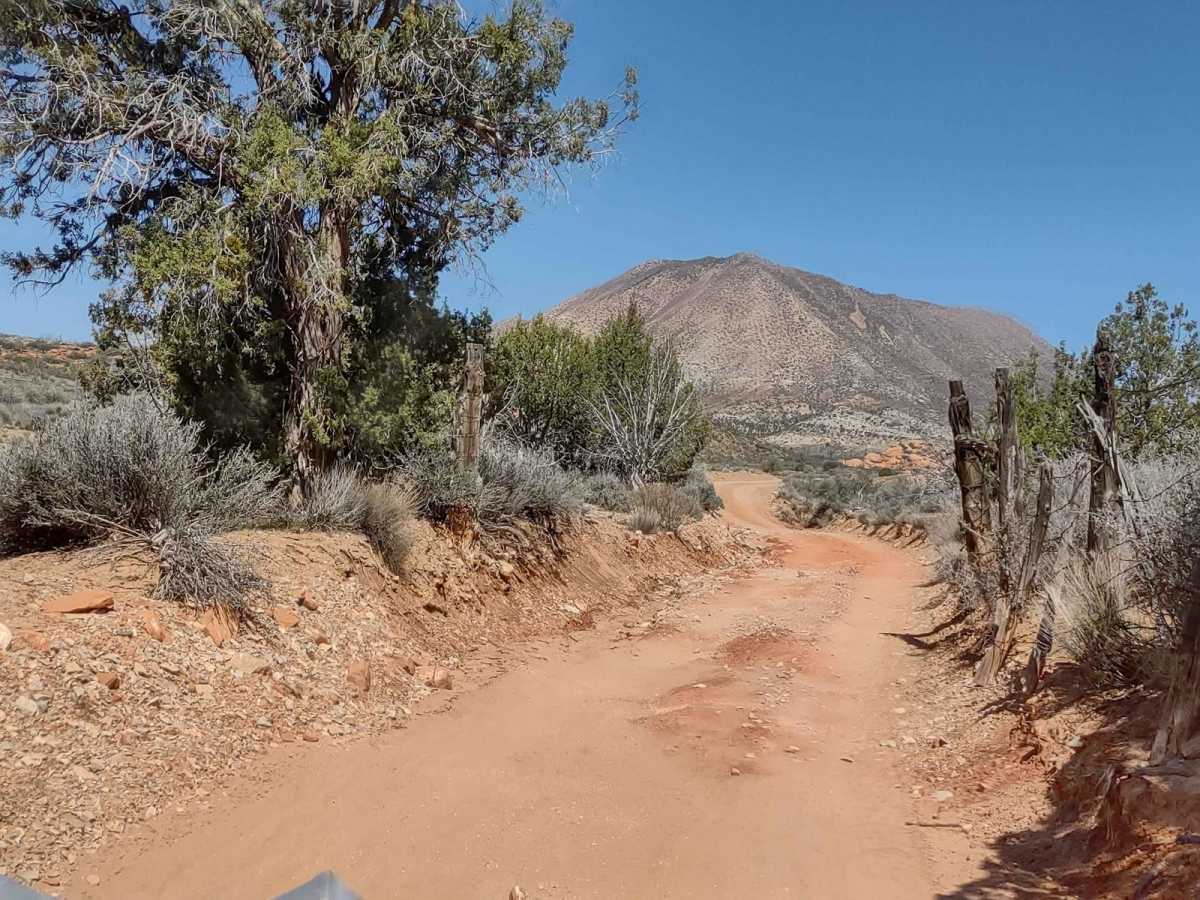 Billy Goat Byway to Jackson Peak photo 2