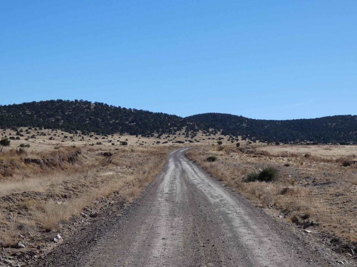 Muleshoe photo 5