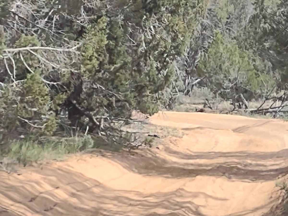 Kanab Creek Trail photo 2