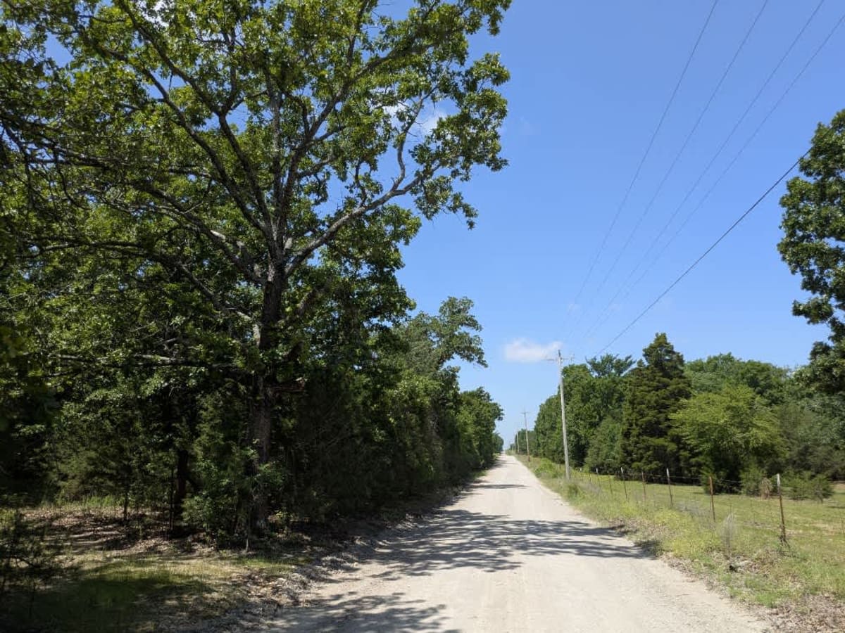 D0670 trail photo