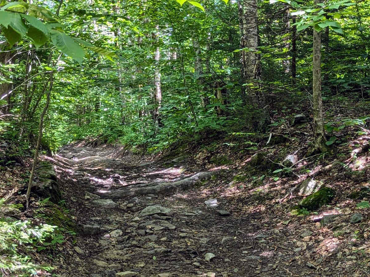 Ashley Lake Road photo 6