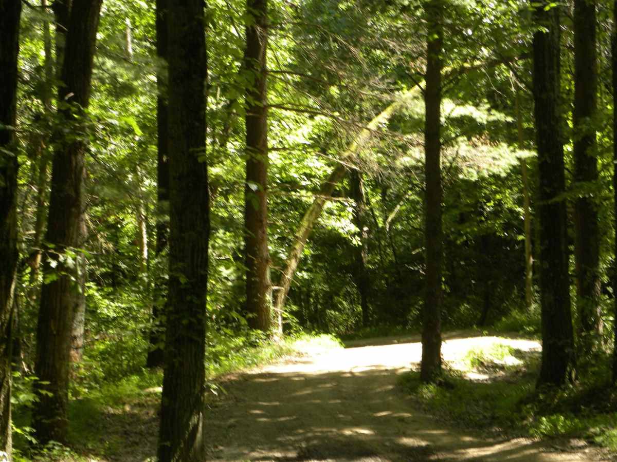Trail 2B photo 6