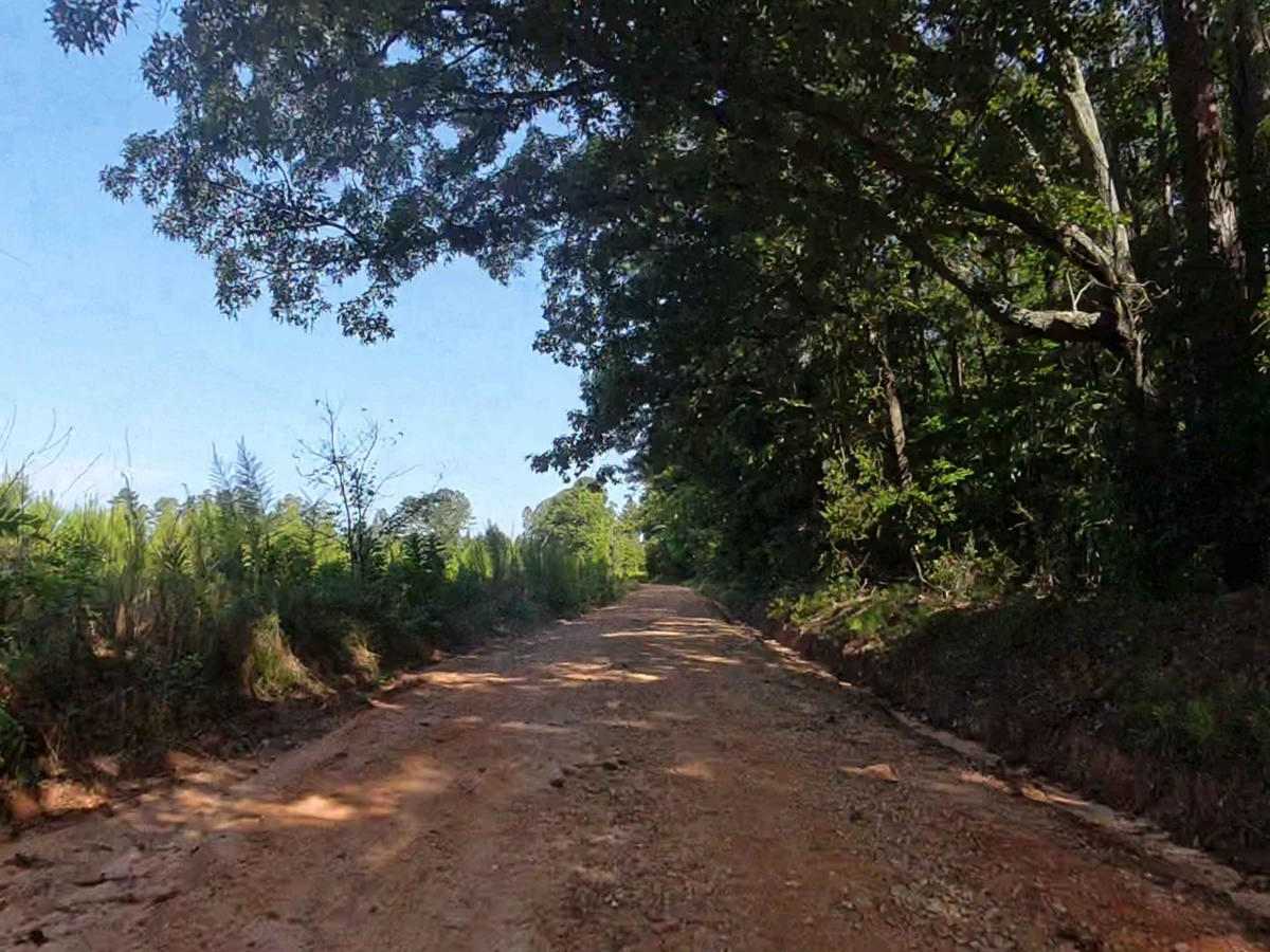 Panther Creek Road photo 4