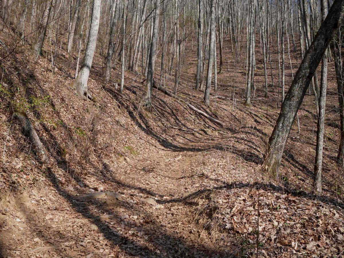 Locust Gap Trail 2 photo 5