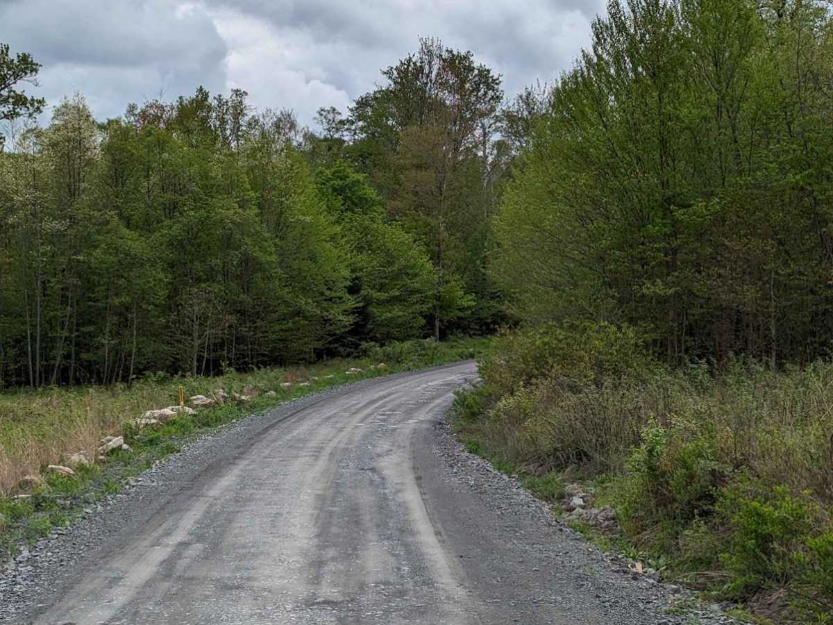 State Game Road photo 3
