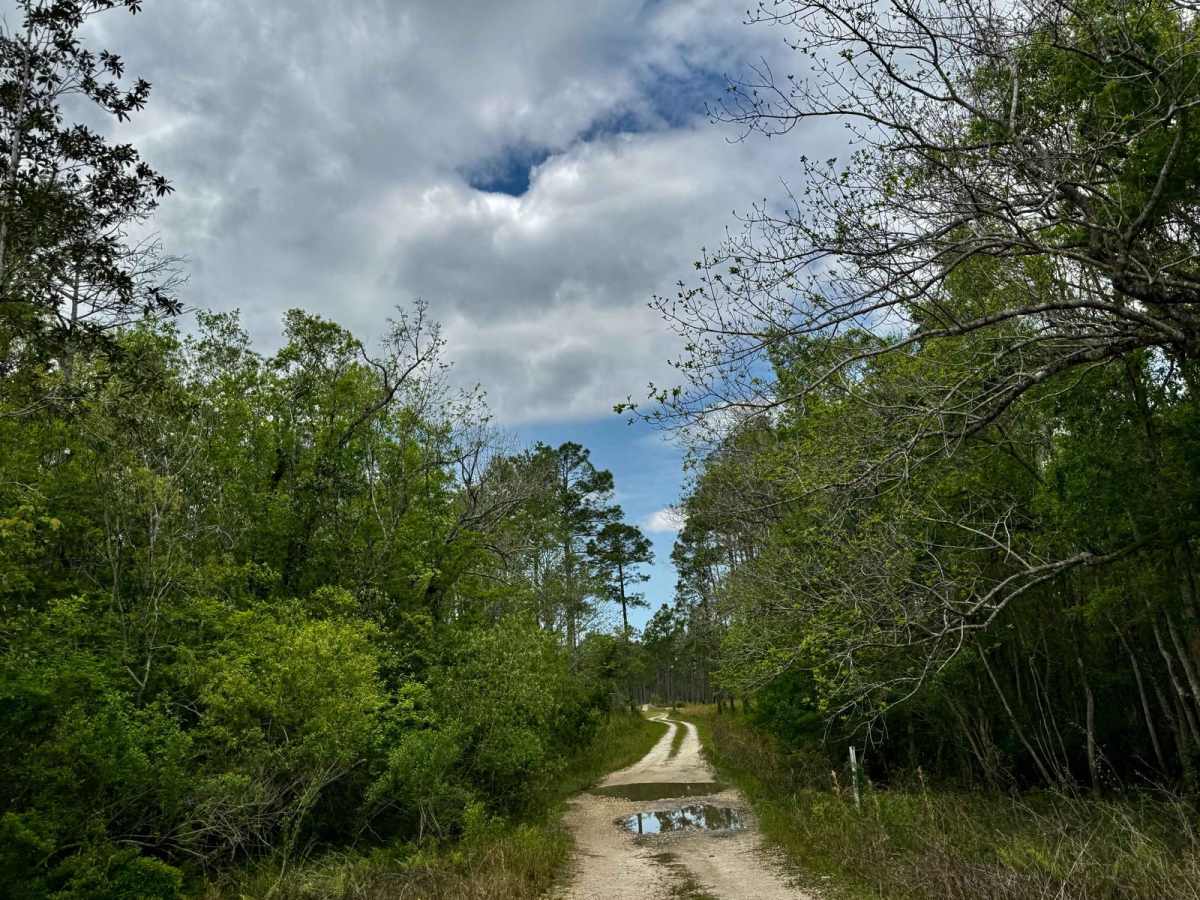 Tates Hell Creek Route photo 3