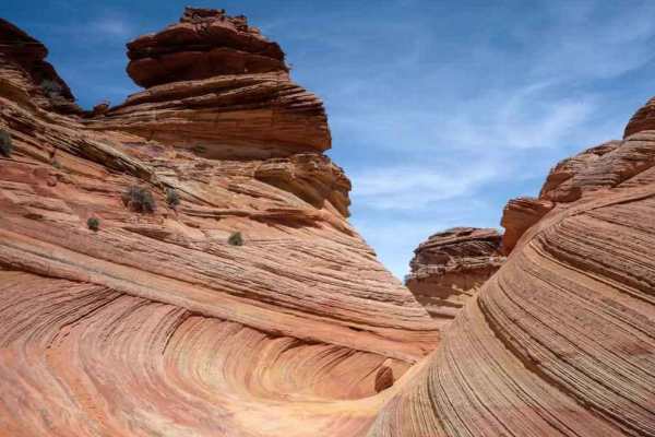 Cottonwood Cove-BLM1082