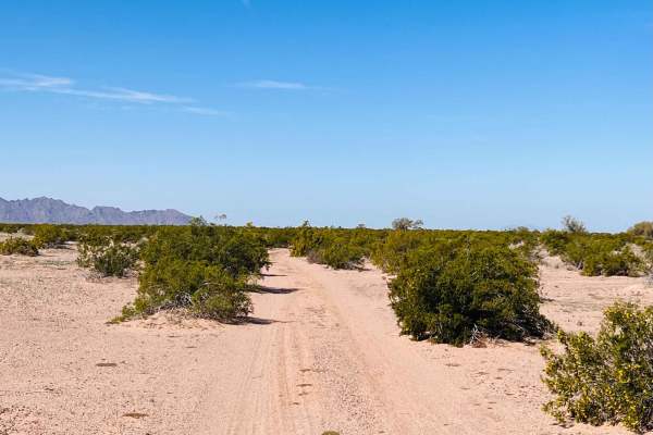 El Camino Del Sol to Dateland Hidden Canyon