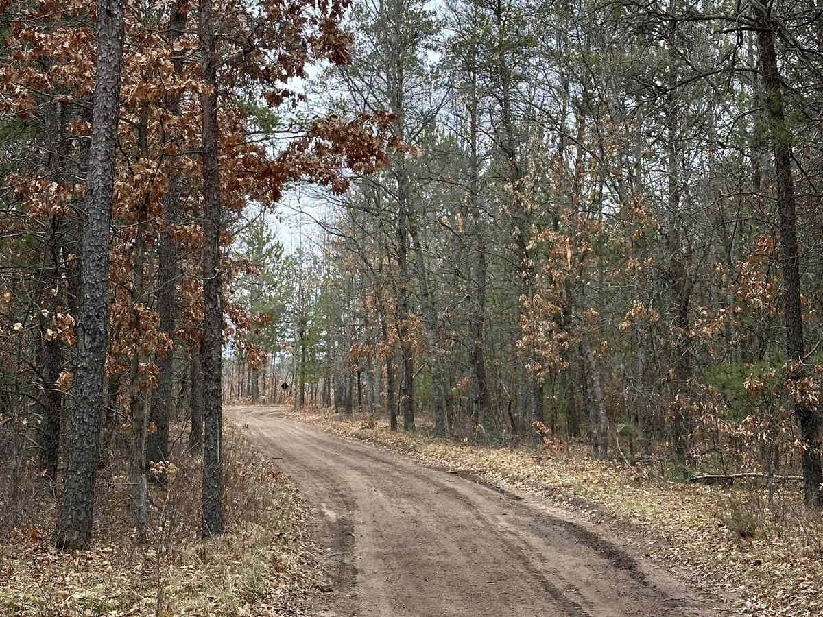 Old State House Route trail photo