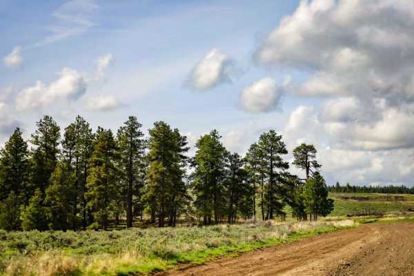 Quilomene Ridge Road