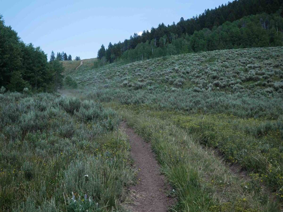 Cold Springs ATV Loop #5208  photo 2