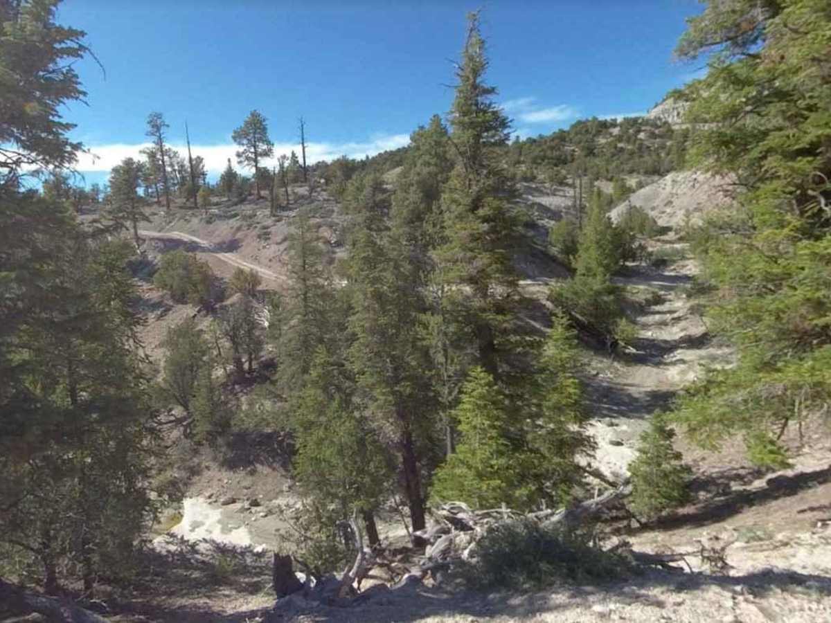 Limekiln Road-BLM2350 photo 5