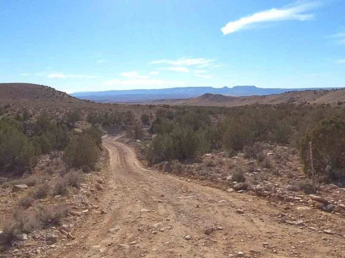 BLM13040 trail photo