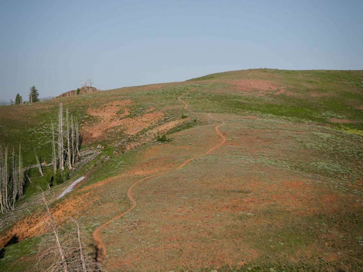 Mahoney Greenhorn trail photo