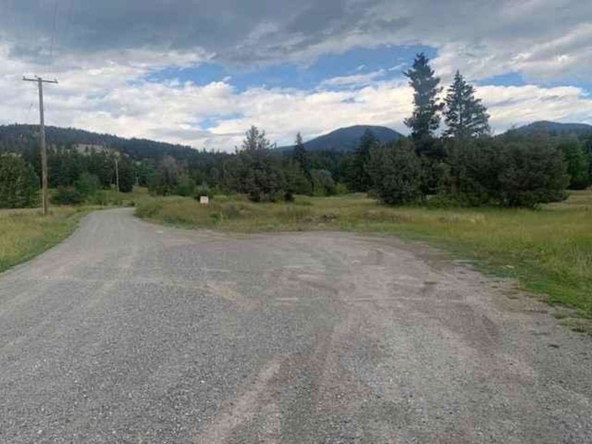 Mount Lolo Road  photo 2