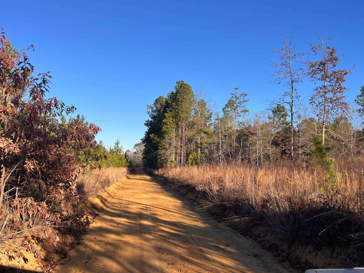Red Shadow Road photo 3