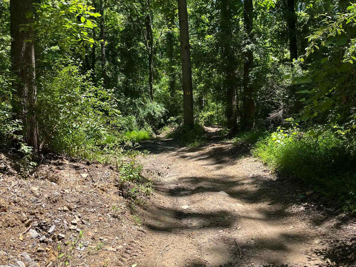 Old Boundary Trail photo 4