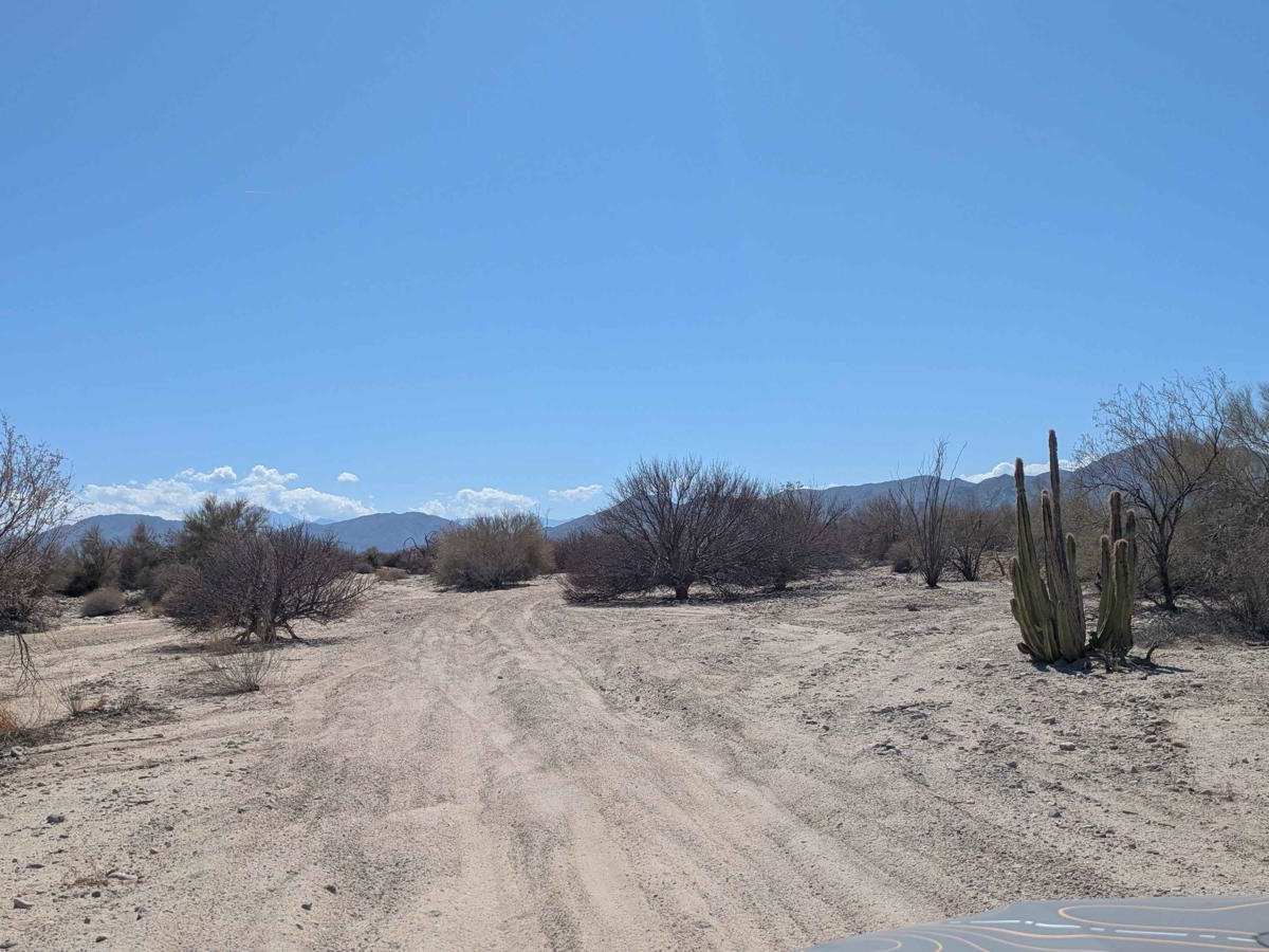 Tier Drop Trail photo 6