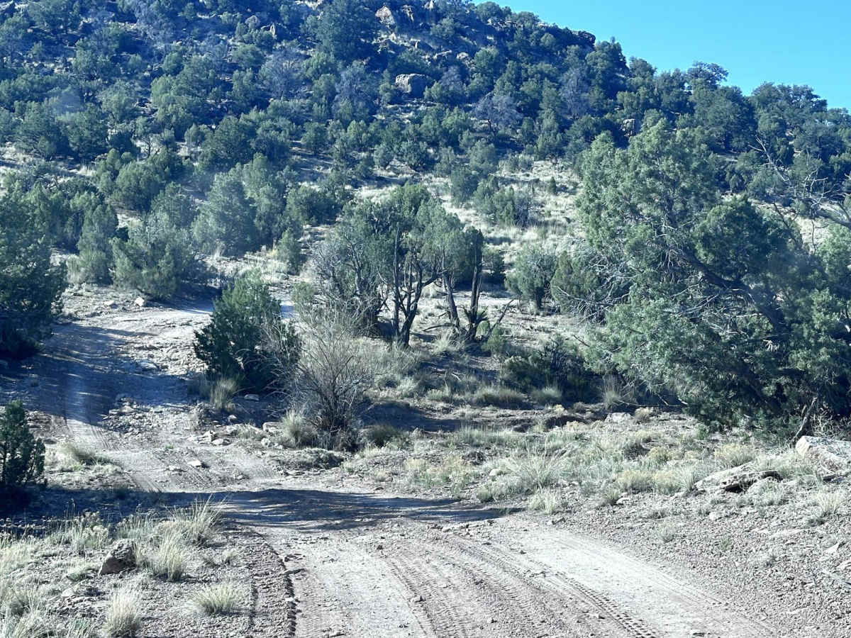 Verde South Trail photo 4