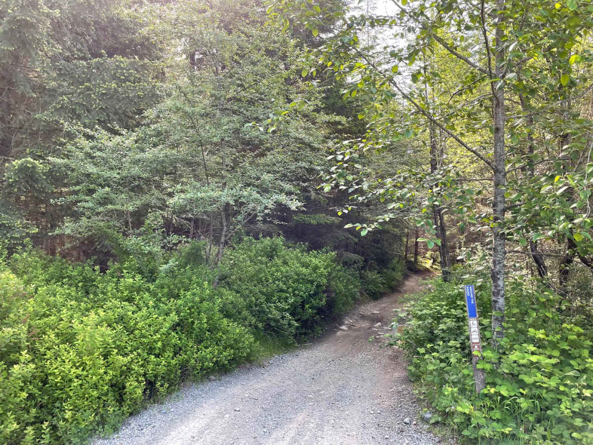 Around the Sound photo 5