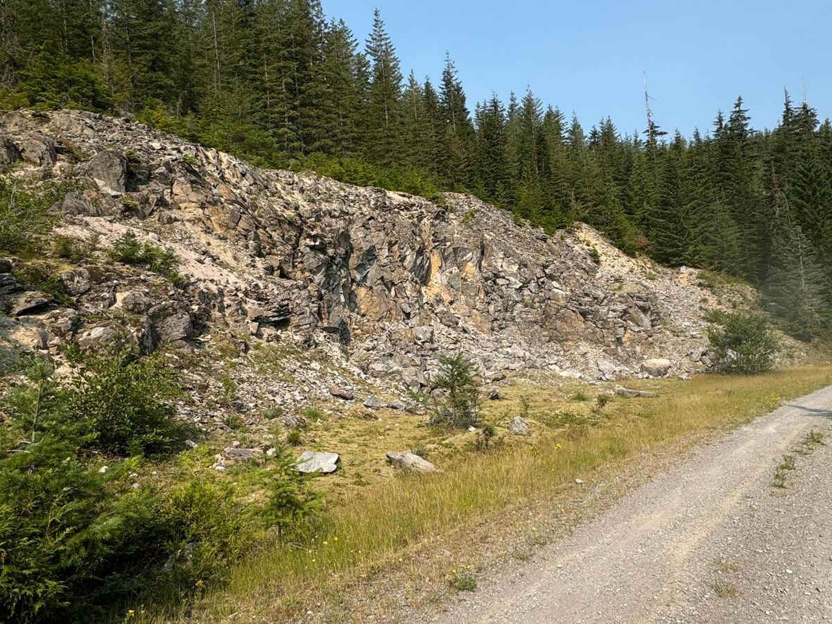 Cougar Rock Connecting Trail photo 4