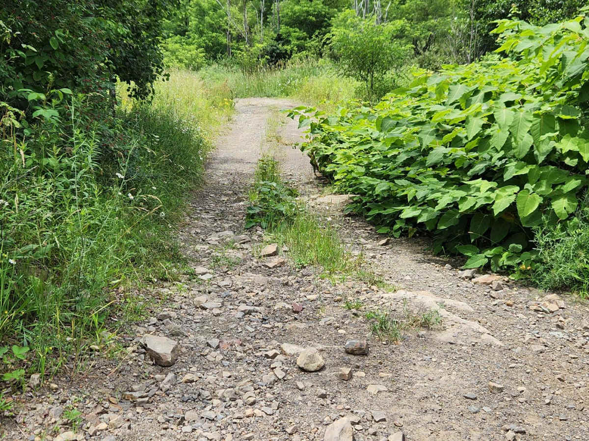 Trail 6J - Rock Run Recreation Area photo 2
