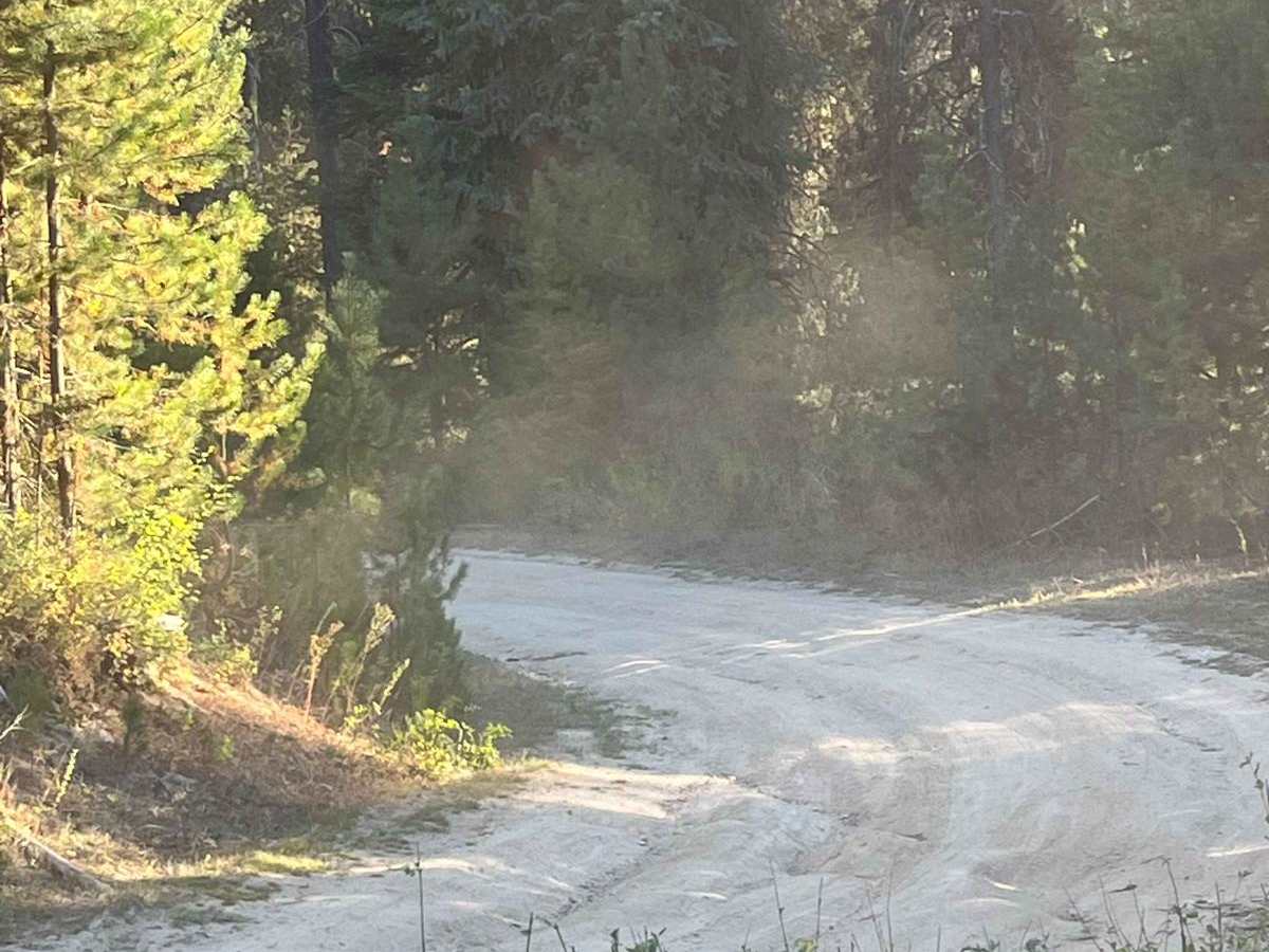 Moose Creek Campground Cutoff photo 5