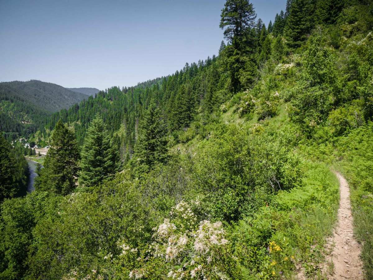 Nelson Ridge photo 6