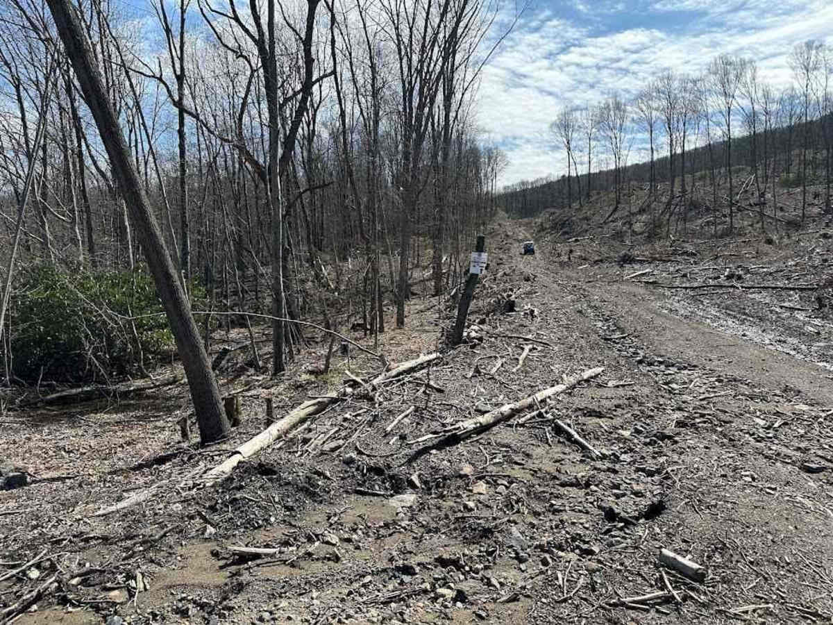 Ashland 135 trail photo
