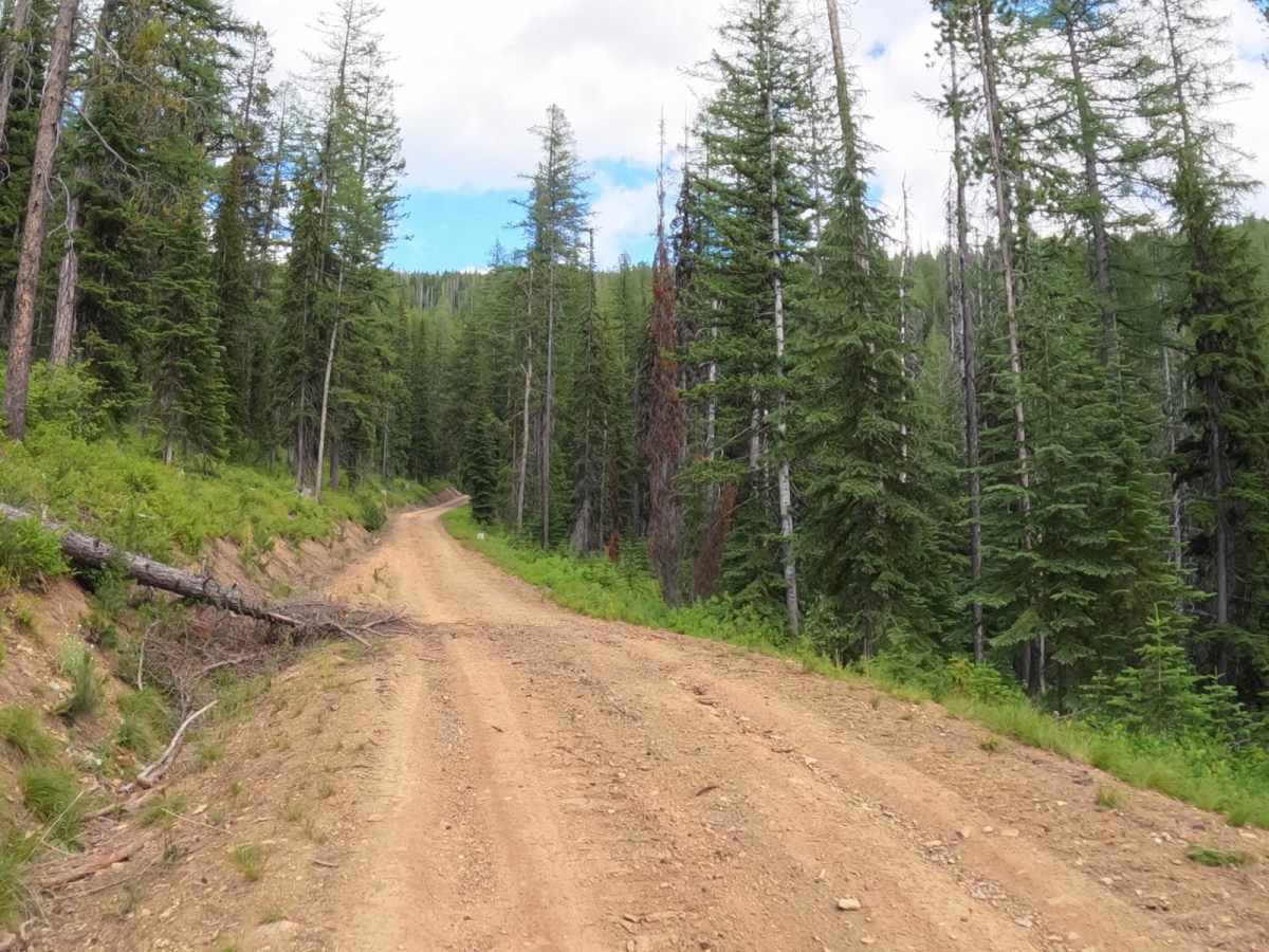 Snowshoe Pass - FSR 488 photo 5