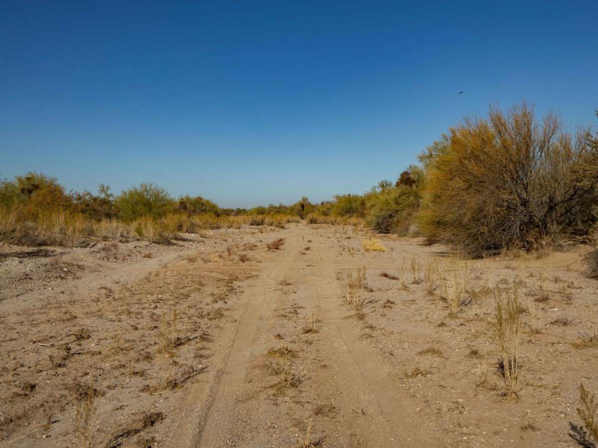 Middle Jackrabbit Wash photo 5
