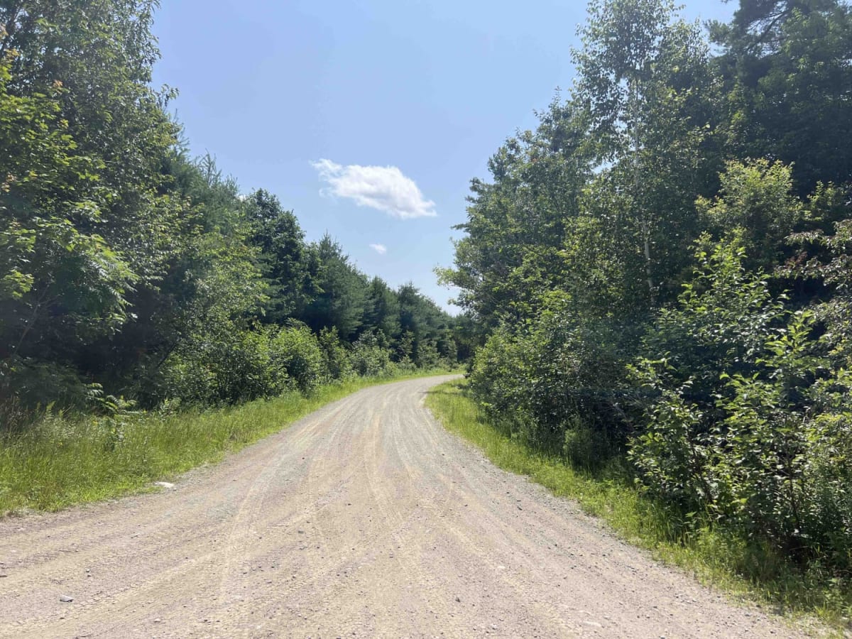 Scott Road photo 2