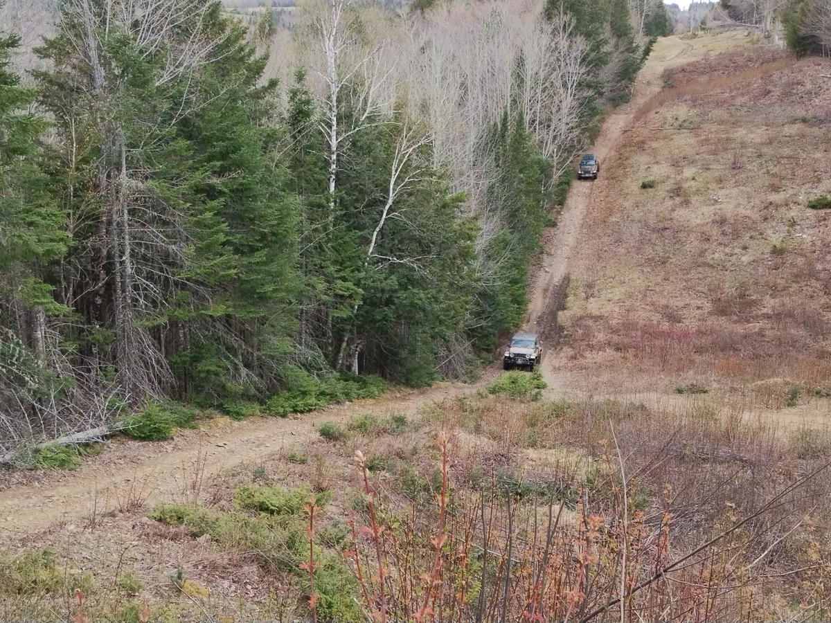 Douglas Hydro Line trail photo