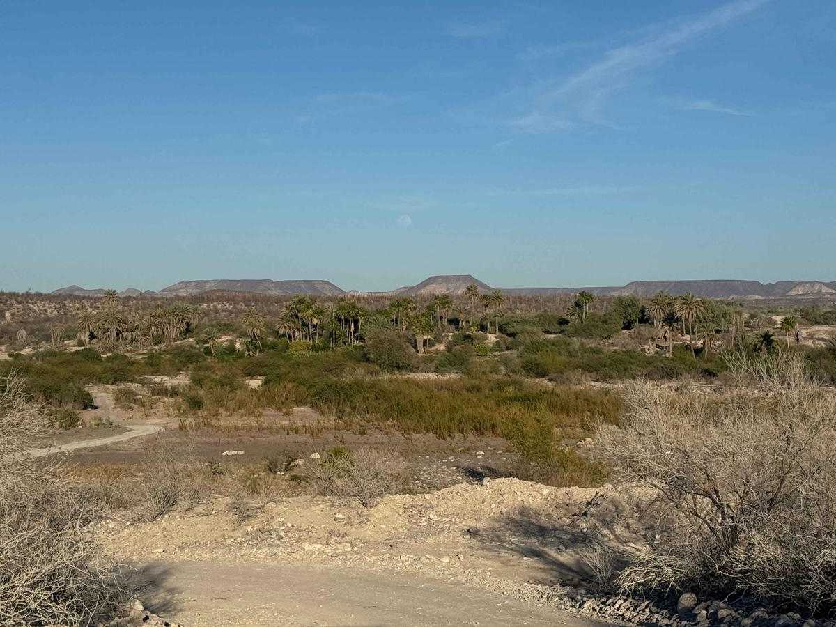 Rancho La Palma photo 3