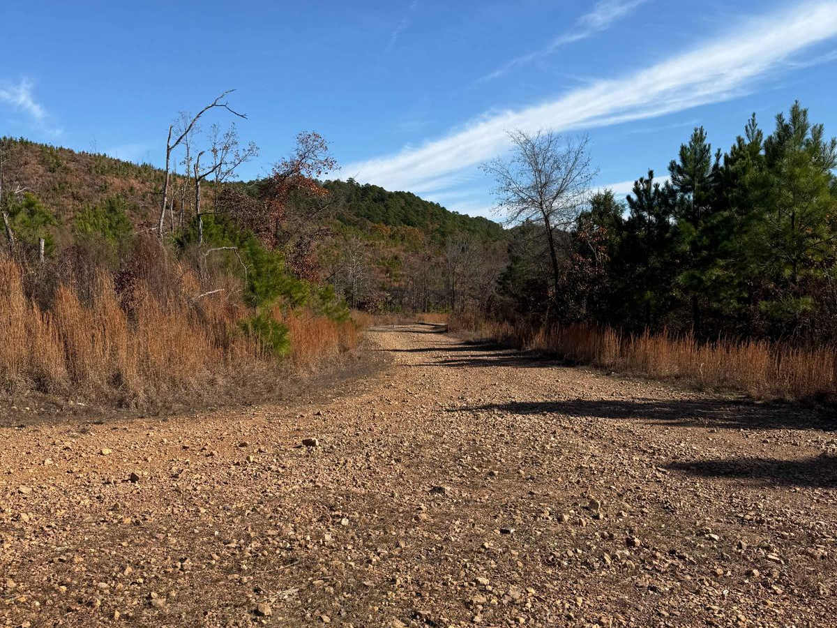 Johnny Beavers Trail to Holly Creek Landing photo 4