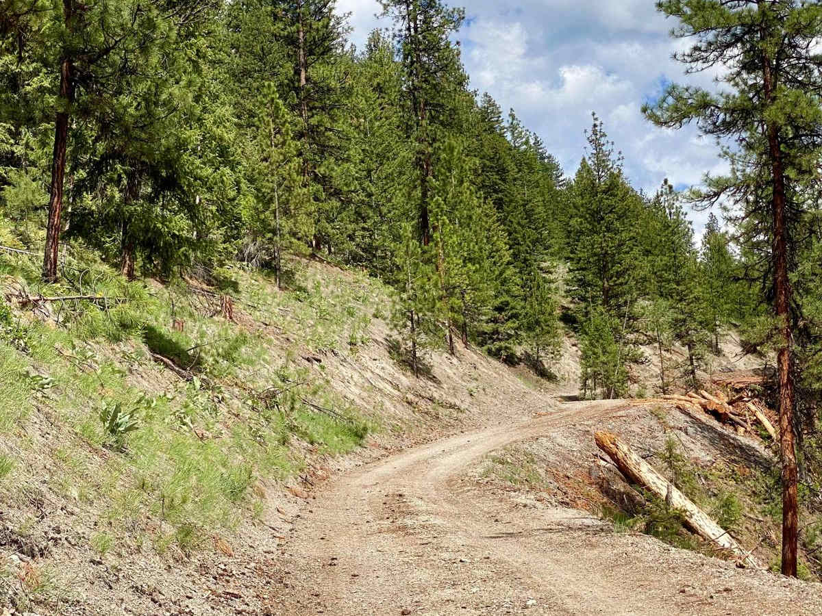 Eddy Creek Road-Deep Creek Road photo 4