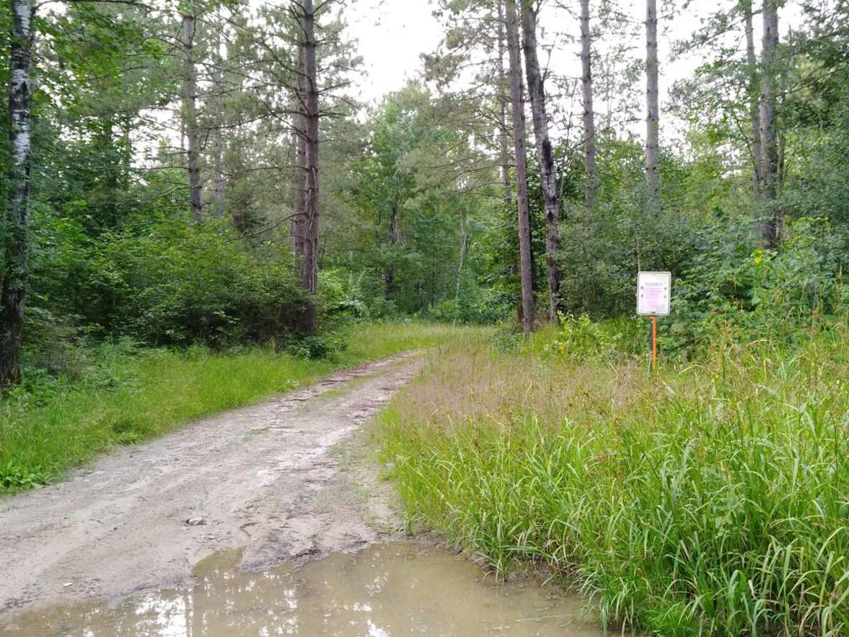 Pikus Forest Road / County Road 58 photo 6