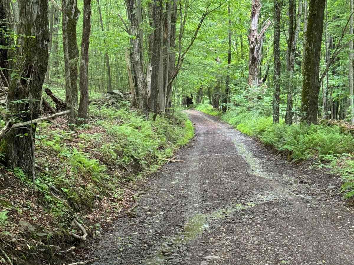 Skunk Hollow Road photo 5