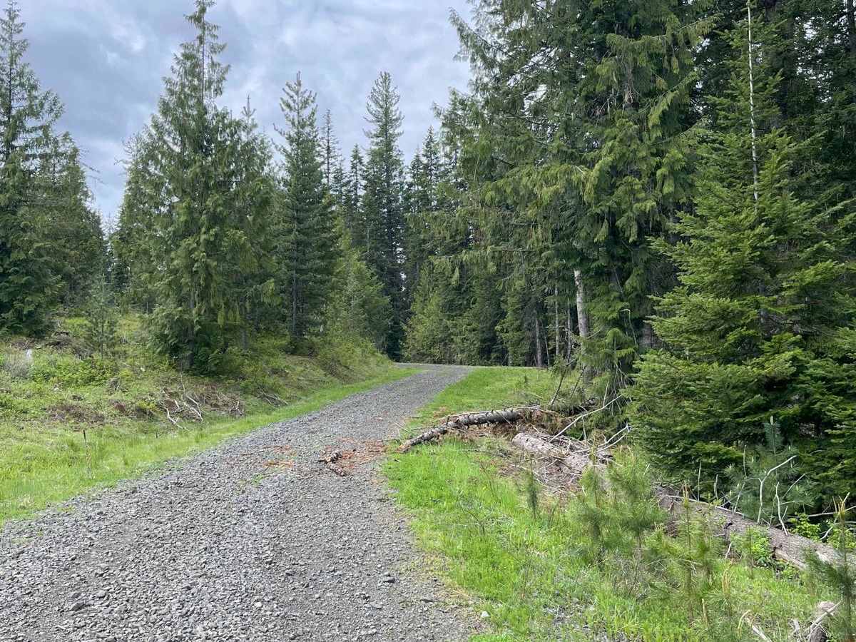Forest Service Rd 3320E West trail photo