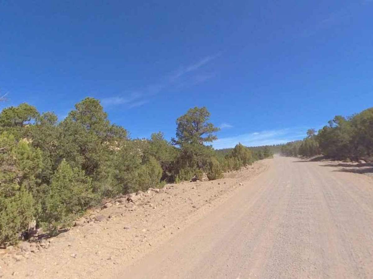 Pine Creek Road FS 30153 photo 3