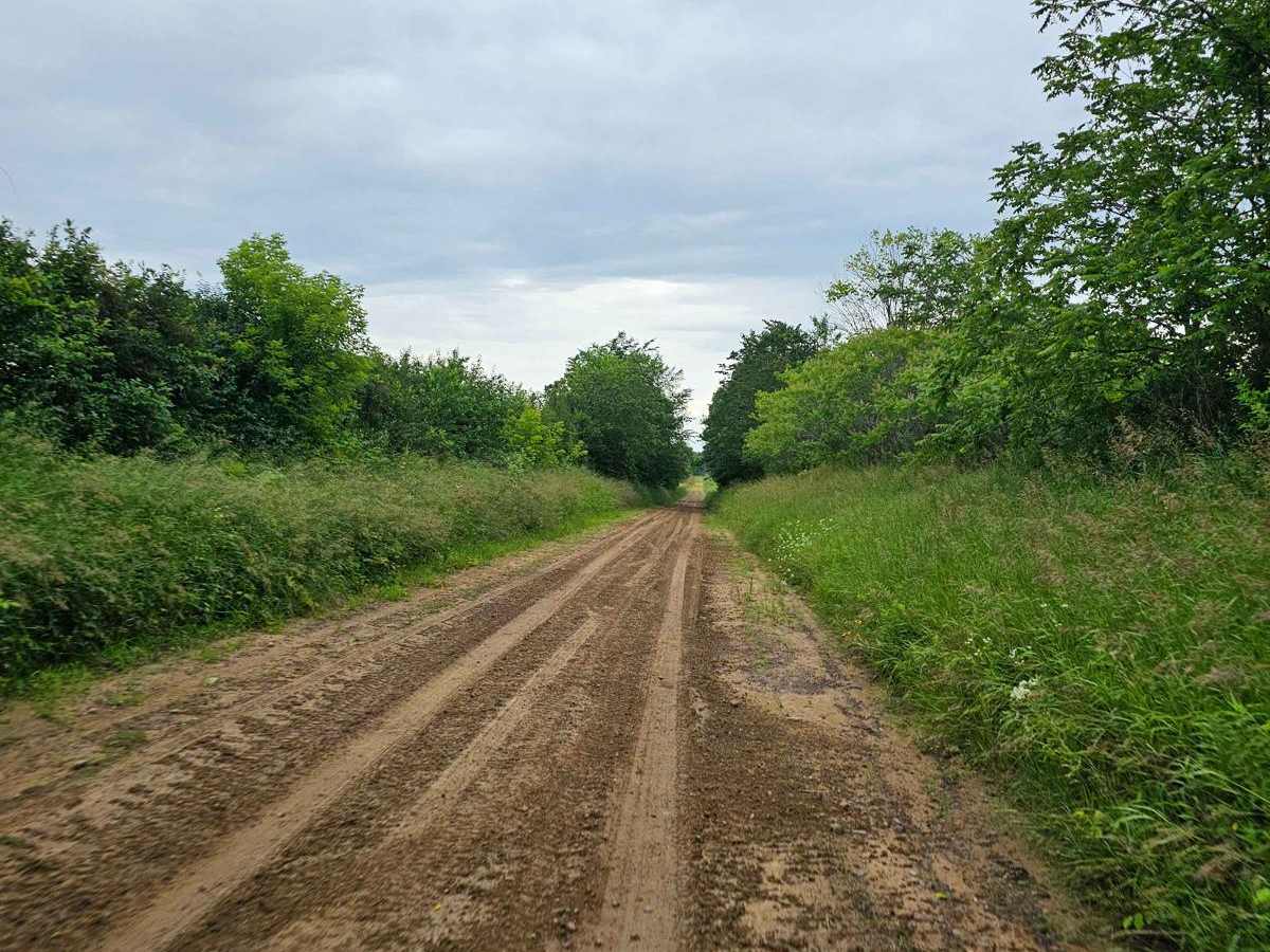 Barron to Cameron - Blueberry Trail Extension photo 5