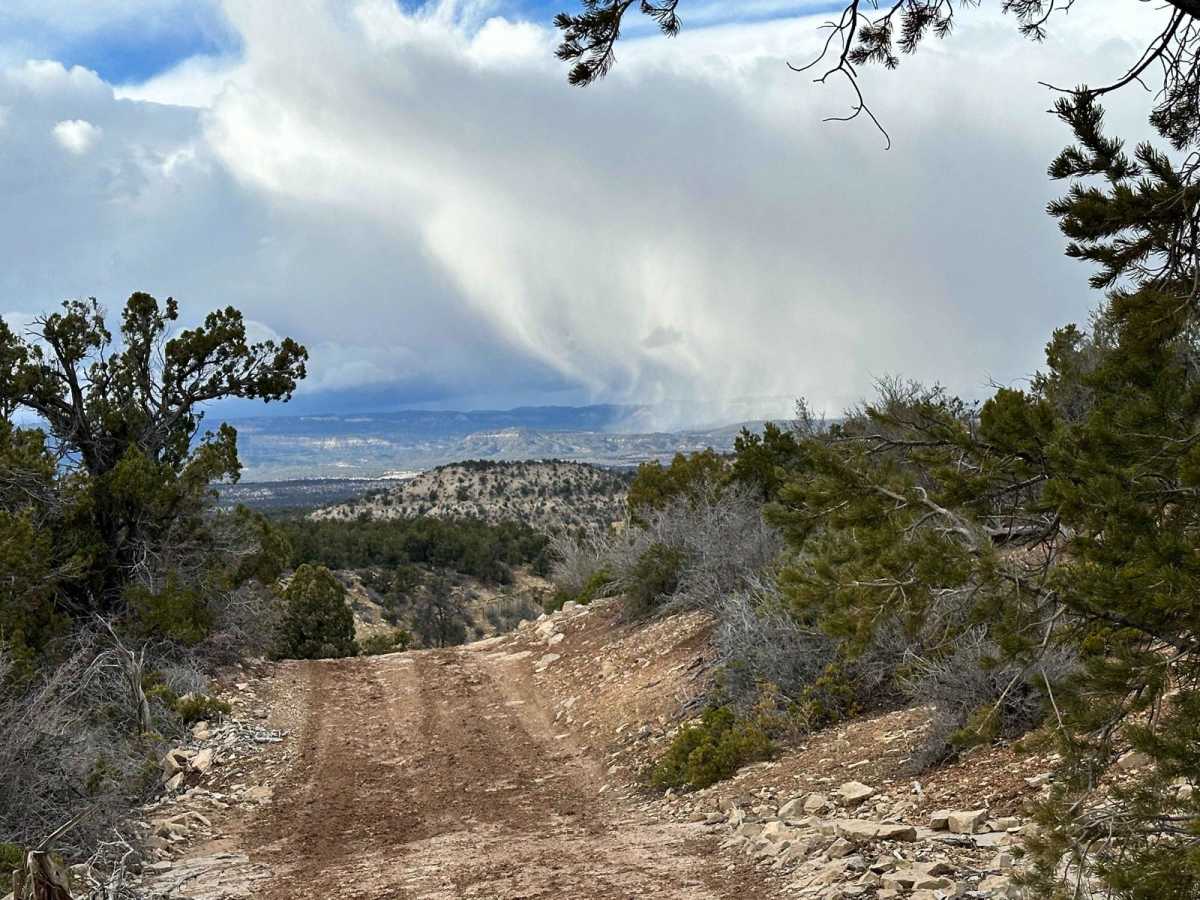 Lower Black Mesa Loop trail photo